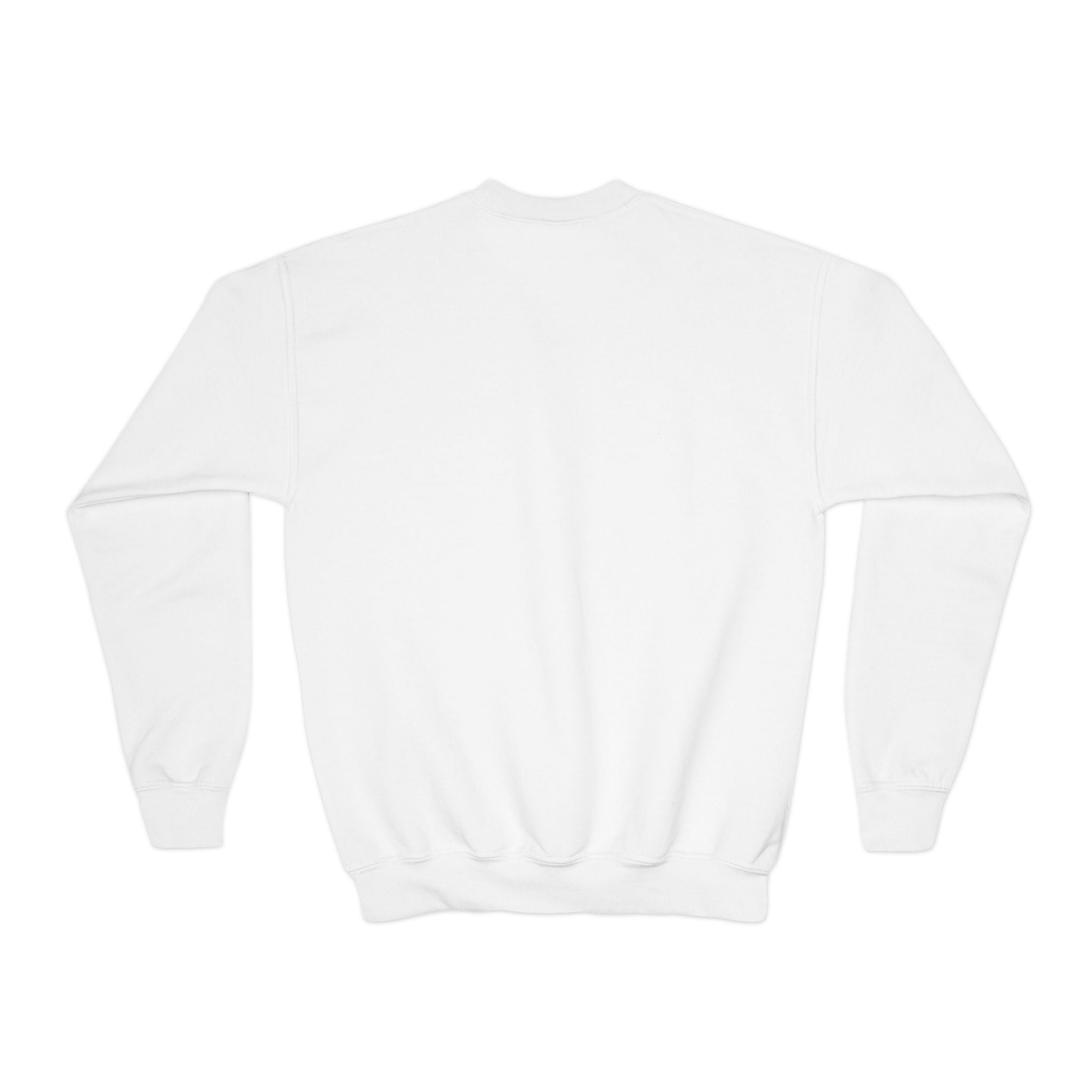 Youth Crewneck Sweatshirt — "Shopping Princess" Halloween Graphic