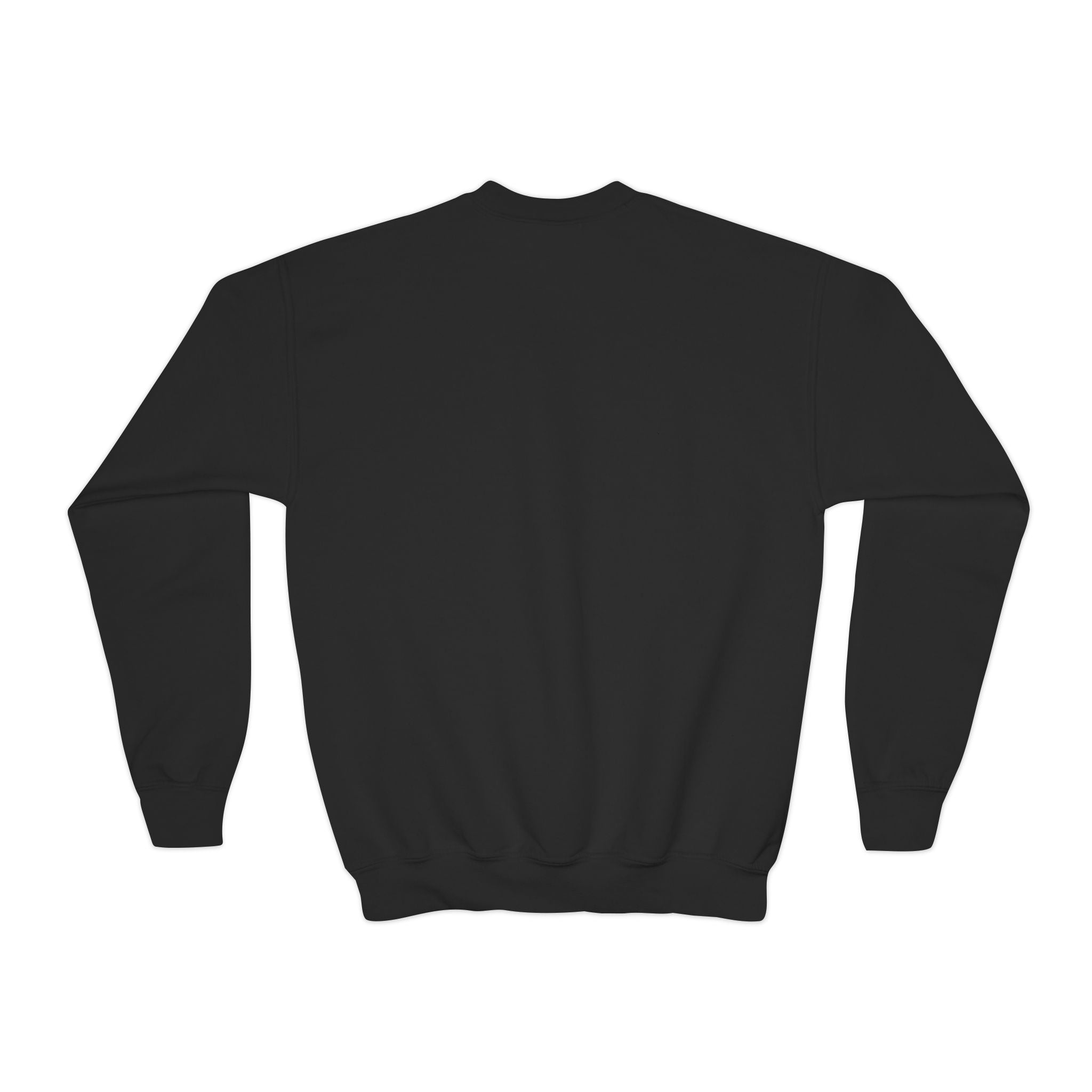 Youth Crewneck Sweatshirt — "Shopping Princess" Halloween Graphic
